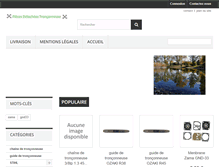 Tablet Screenshot of pieces-detachees-tronconneuse.fr